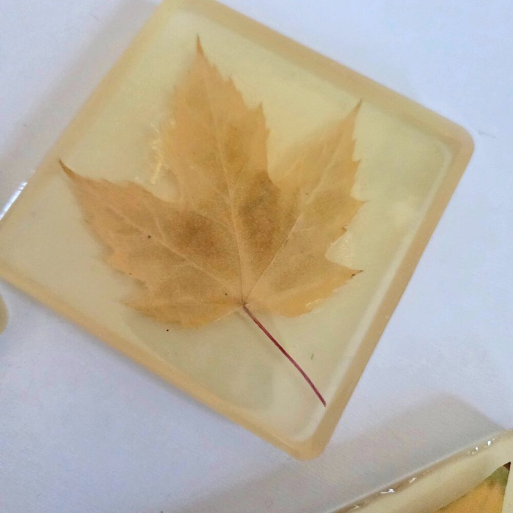 Set of 4 vintage handmade Lucite coasters with dry pressed leaves. - Picture 4 of 8